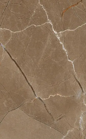Armani Brown Marble