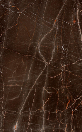 Champagne Brown Marble